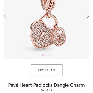 Pandora bracelet charm